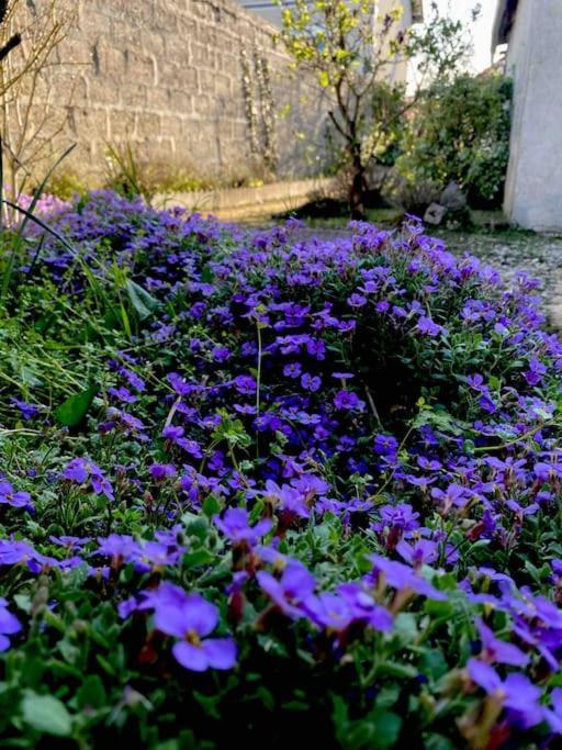 Le Ni' De Jess Villa Migennes ภายนอก รูปภาพ